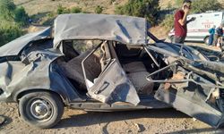 Adana'da piknik dönüşü facia: 1 ölü, 7 yaralı