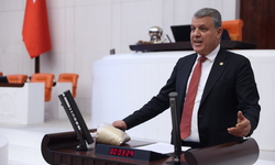 Barut'tan Meclis’te sert çağrı: “Zeytinlikleri talan ettirmeyeceğiz”
