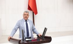 CHP’li Barut: “Hayvancılıkta şap krizi AKP’nin ihmali yüzünden büyüyor!”