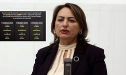 CHP’li Şevkin’den Gemlik depremi uyarısı: "TOGG fabrikası tehlikenin tam ortasında"