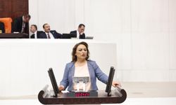 CHP’li Şevkin’den ‘Süper İzin’ teklifine sert tepki:“Zeytinlikler kömüre feda edilemez”