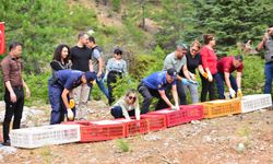 Feke’de doğaya can geldi: Binlerce sazan baraja, yüzlerce keklik dağlara salındı