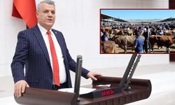 Hayvan pazarları kapatıldı, Ayhan Barut isyan etti: “Yanlışın bedelini üretici ödüyor!”