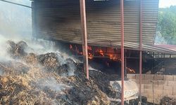Kozan’da ahır yangını: 5 inek telef oldu, 2 inek kurtarıldı