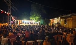 Pozantı, "Yayladan Denize Yaz Şenliği"ne ev sahipliği yapacak