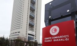 "Yüzde 100 vize garantisi" diyenlere Bakanlıktan ceza yağdı