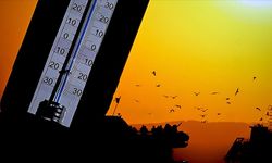 Adana’da kuraklık alarmı: Canlı hayatı tehlike altında!