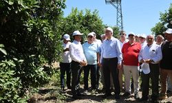 TZOB Başkanı’ndan kritik uyarı: “Tarımda genç kalmadı, çiftçiye acil destek lazım”
