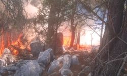 Adana Aladağ’daki orman yangını kontrol altına alındı