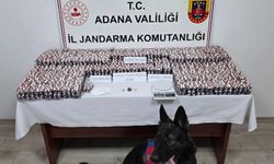 Adana’da 19 Bin 167 sentetik hap operasyonu: 1 tutuklama
