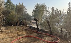 Adana'da Alevler Panik Yarattı: Yangın Güçlükle Söndürüldü