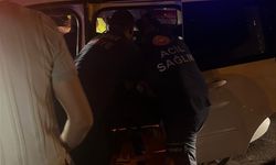 Adana'da Hafif Ticari Araç ile Otomobil Çarpıştı: 2 Yaralı