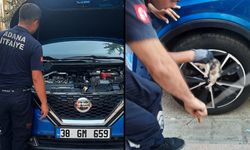 Adana’da İtfaiye Seferber Oldu: Otomobilde Sıkışan Kedi Yavrusu Kurtarıldı