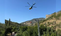 Adana'da Köy Evinde Yangın Paniği: Ormana Sıçramadan Söndürüldü