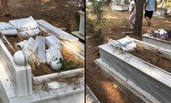 Adana’da Mezarlıkta Şok Olay: Jandarma Soruşturma Başlattı