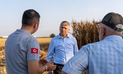 Adana’da Mısır Hasadı Devam Ediyor: İl Müdürü Bayazıt Üreticilerle Buluştu