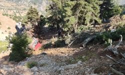 Adana'da Uçurum Faciası: 2 Kişi Hayatını Kaybetti