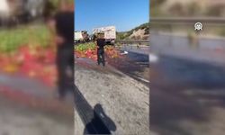 Adana’da TIR ile kamyon çarpıştı: Otoyol karpuz tarlasına döndü