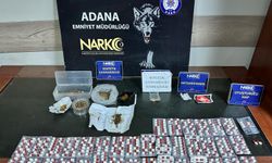 Adana'da uyuşturucu tacirlerine şafak operasyonu: Ev tipi serada esrar yetiştirmişler!