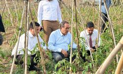 Milletvekili Abdullah Doğru: “Tarımda Seferberlik Başlatıyoruz”