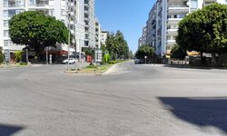 Aşırı sıcaklar Adana sokaklarını boşalttı: Kuşlar bile gölgelik alanlara sığındı