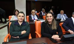 İYİ Parti Adana Milletvekili Türkeş Taş’tan Meclis’te sert tepki