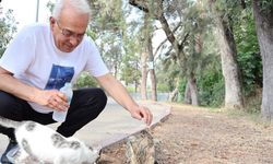 Başkan Kanlı’dan sokak hayvanları için duyarlı çağrı: “Bir kap su, bir kap mama”