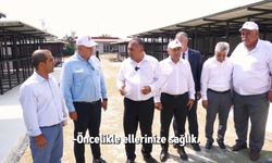 Can Dostlara Yeni Yuva: Adana’da Örnek Bakımevi Kuruluyor
