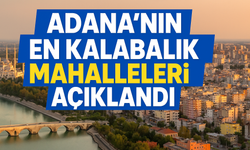 Adana'nın en kalabalık mahalleleri açıklandı: İşte şaşırtan sıralama