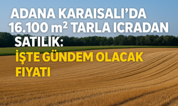 Adana Karaisalı’da 16.100 m² tarla icradan satılık: İşte gündem olacak fiyatı