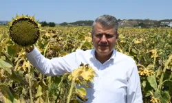 CHP’li Barut: “İthalat Sevdalıları Yerli Üreticiye Darbe Vuruyor”