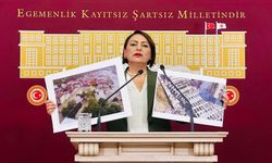 CHP’li Şevkin’den tarihi deprem çağrısı: “Afet Bakanlığı kurulsun, Fay Yasası kabul edilsin”