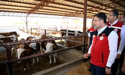 Çiftçiler Birliği Başkanı Doğru’dan Bakan Yumaklı’nın Projesine Destek