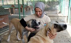Çukurova Belediyesi’nden örnek uygulama: “Barınak Melekleri” can dostlar için görevde