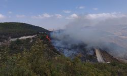 Hatay Yayladağı’ndaki orman yangını kontrol altına alındı