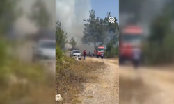 Kozan’da orman yangını korkuttu
