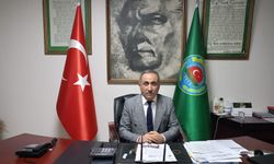 Mısır tarlada, fiyatı ortada yok: TMO'dan acil fiyat açıklaması bekleniyor