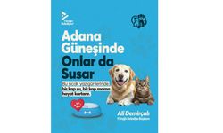 Yüreğir Belediyesi’nden Sokak Hayvanları İçin Su ve Mama Çağrısı