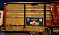 Adana’da 14 milyon kaçak makaron ve 750 kilo nargile tütünü ele geçirildi