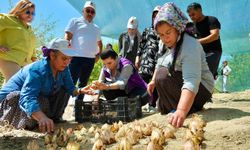Adana’da kadınlara ekonomik destek sağlanacak