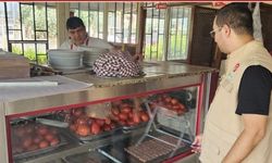 Adana'da Sağlıklı Gıda İçin Denetimler Aralıksız Sürüyor