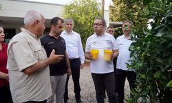 Adana tarımında yeni dönem! Bakan Yardımcısı sahaya indi