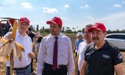Adana’da Yerli ve Milli Mısır Tohumu “Kale” Çiftçilerle Buluştu