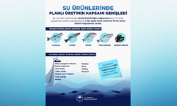 Balıkçılıkta Yeni Dönem! 16 Tür Planlı Üretime Dahil Edildi