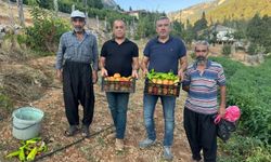 Başkan Dal Saimbeyli çiftçileri ile bir araya geldi