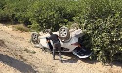 Ceyhan’da cip narenciye bahçesine devrildi: 1 yaralı