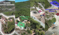 Kozan Belediyesi’nden sokak hayvanlarına modern barınak