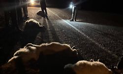 Kozan’da yayla dönüşü facia: Otomobil sürüye daldı