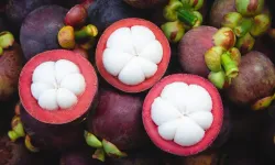 C vitamini deposu: Bu meyveyi bulanlar bol bol yesin