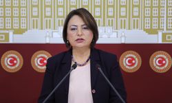 CHP’li Şevkin’den “Okulları aileler temizliyor, para alınıyor” vurgusu